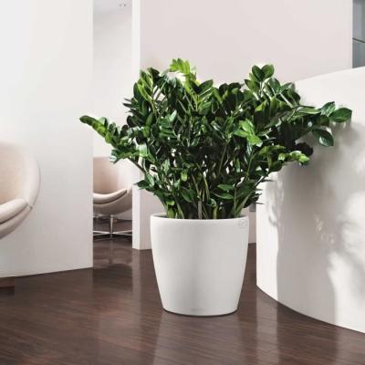 Jardinière moderne Blanc 43 cm - Tout-en-un