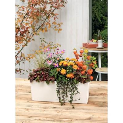 Jardinière Balconera Color 50 Blanc - Tout-en-un !