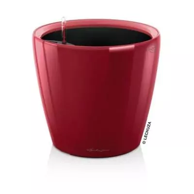 Jardinière haut de gamme - Rouge scarlet brillant - Kit complet 3 L