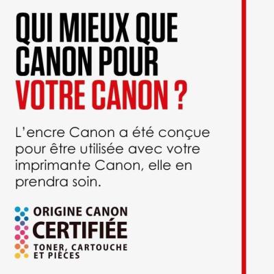 Cartouche d'encre CANON PG-540L Cart BK BLIS Cartouche d'encre CANON PG-540L Cart BK BLIS
