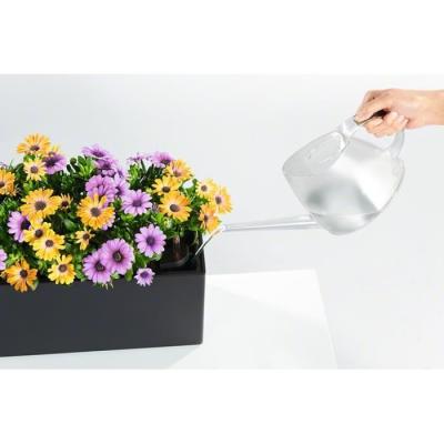 Kit de plantation en pot LECHUZA BALCONERA 50 Marron - Intérieur & extérieur