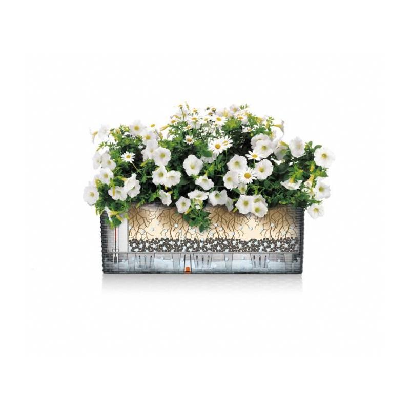 Kit de plantation en pot LECHUZA BALCONERA 50 Marron - Intérieur & extérieur