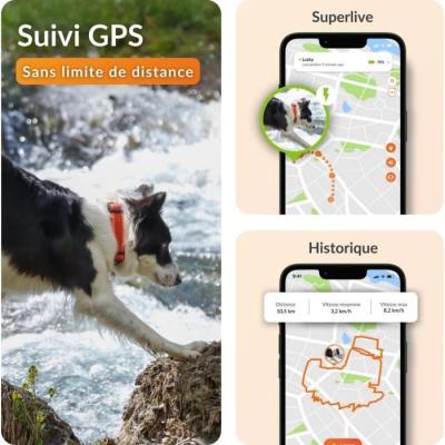 Collier GPS pour chien WEENECT Chien XT - Suivi précis - Robuste et étanche