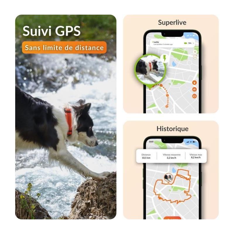 Collier GPS pour chien WEENECT Chien XT - Suivi précis - Robuste et étanche