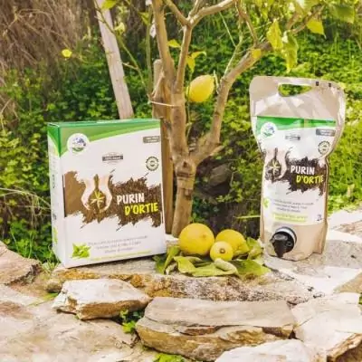 Engrais naturel hautement concentré pour des plantes en pleine santé