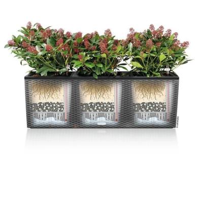 Jardiniere - Trio cottage 30 - Kit complet - Granit - 42 L - LECHUZA