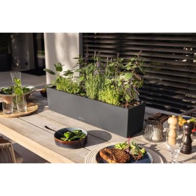 Jardiniere - Balconera color 80 - Kit complet - Gris ardoise - 12 L - LECHUZA
