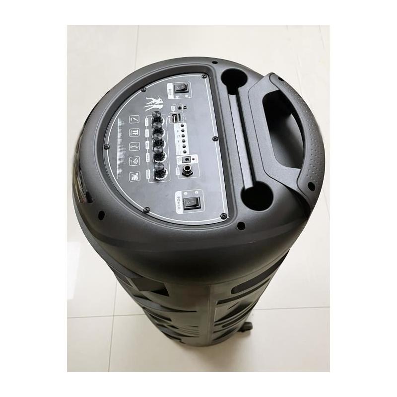 Enceinte karaoké - INOVALLEY - Lumineuse - 1000 Watts - Bluetooth V5.0 - Autonomie 2 a 3 heures - Micro sans fil inclus