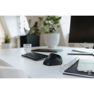 Souris ergonomique CHERRY MW 4500 pour poignet soulageant