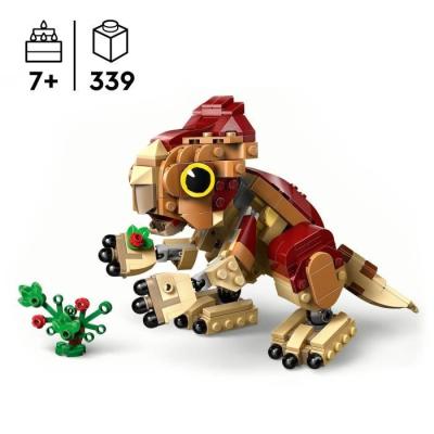LEGO Jurassic World 76970 Dolores, le Bébé Aquilops - Construis ton propre dinosaure!