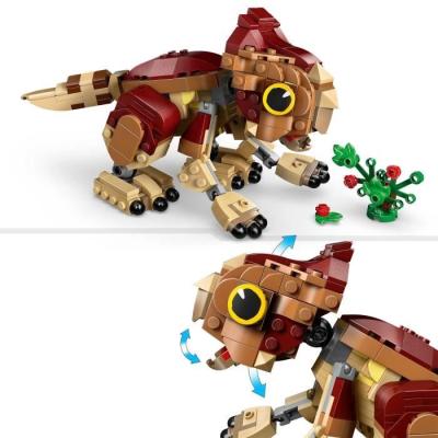 LEGO Jurassic World 76970 Dolores, le Bébé Aquilops - Construis ton propre dinosaure!