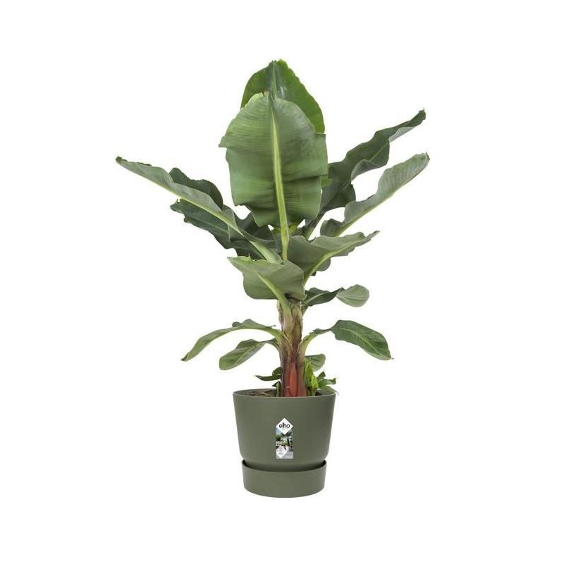 Pot de fleurs rond Greenville - Ø 55 x H 50 cm - Extérieur - Vert
