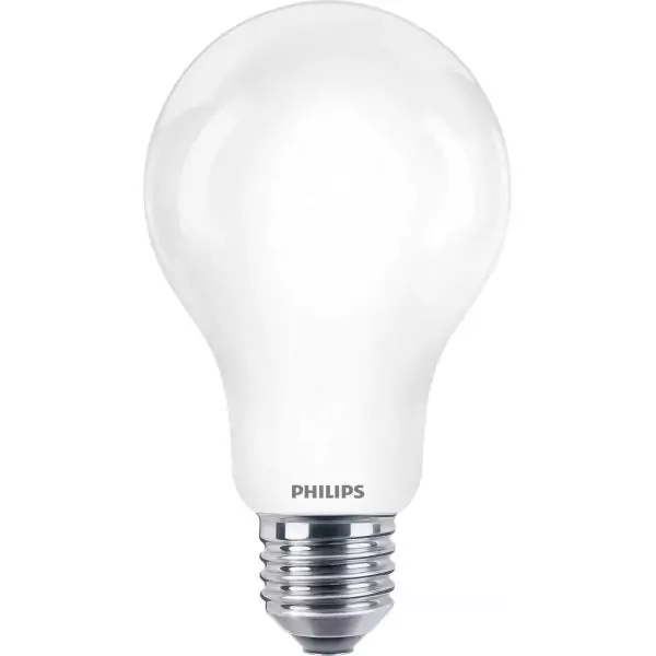 Ampoule LED PHILIPS Non dimmable - E27 - 150W - Blanc Froid