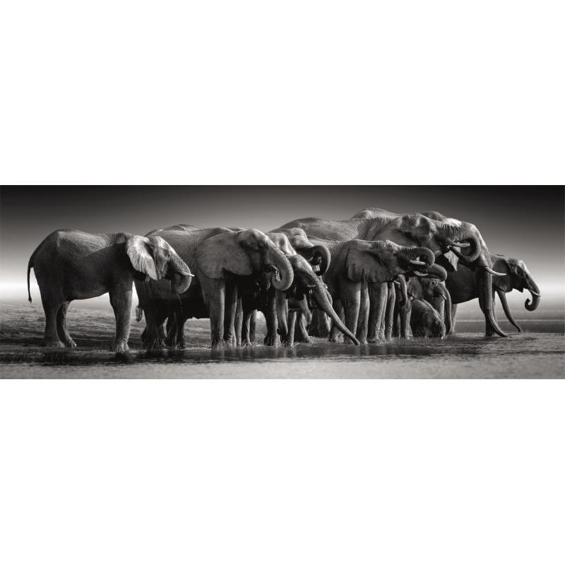 Clementoni Compact 1000 pièces Panorama - Herd of Giants