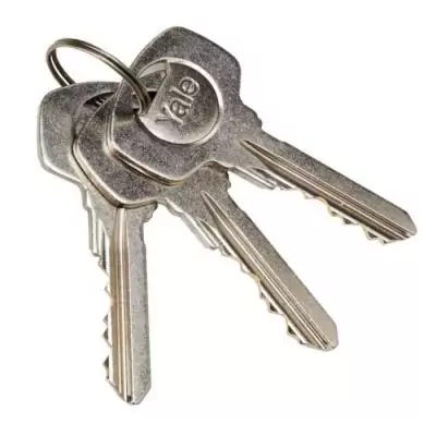 Barillet YALE YC500+ 30x10 mm Nickelé - 5 Goupilles