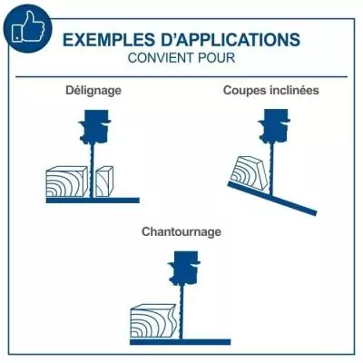 Scie à ruban HBS25 - 80 mm: performances optimales
