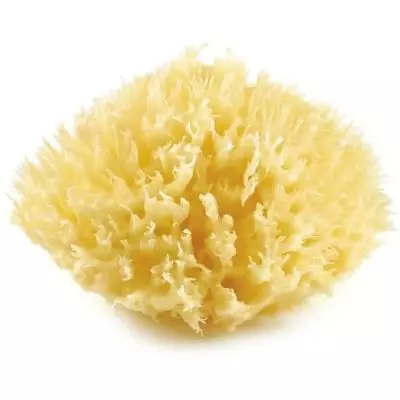 Eponge de mer THERMOBABY durable et douce - Jaune