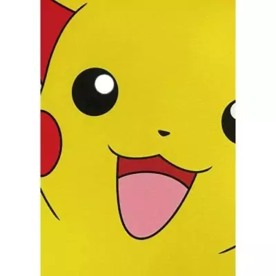 Coussin double face Pokémon Pikachu et Carapuce 40 x 40 cm