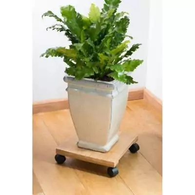 Tablette à roulettes pour plantes en Bambou composite - H8 x 30 x 30 cm