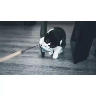 Jouet chat - Canne à pêche poisson en bois 15cm