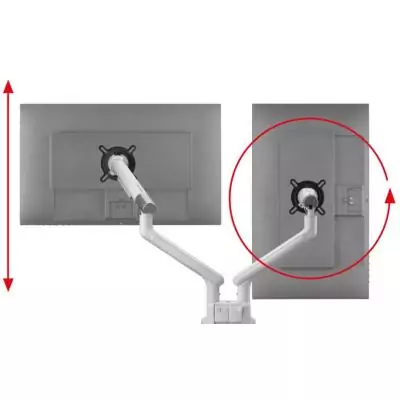 Support moniteur - ONE FOR ALL - Dynamic - Vesa 100 - Double Bras - 13 a 35'' - Blanc