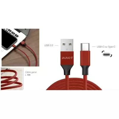 Câble - AUTO T - 540347 - USB 2.0 - USB-C