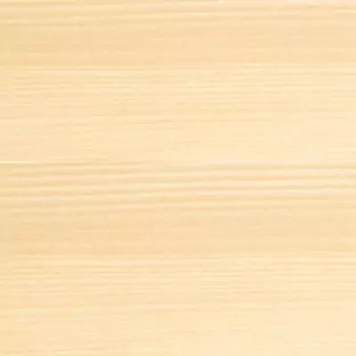 Lasure 2 en 1 protection extérieure - Incolore - Satin - Protection 12 ans - Toutes saisons - Bondex - 5L