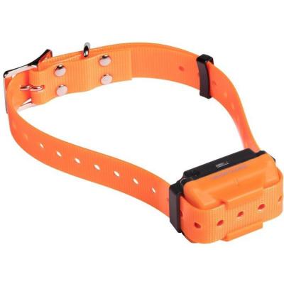 Ensemble complet de dressage - NUM'AXES - CANICOM R-500 - Pour chien - Rechargeable - Orange - 500 metres