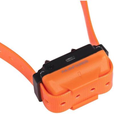 Ensemble complet de dressage - NUM'AXES - CANICOM R-800 - Pour chien - Rechargeable - Orange