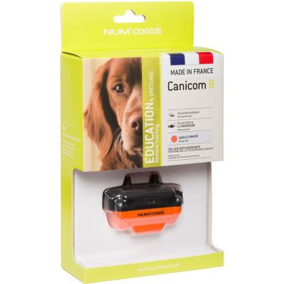 Collier de dressage - NUM'AXES - CANICOM R - Orange