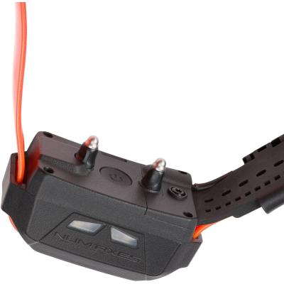 Ensemble complet de localisation - NUM'AXES - CANICOM GPS MINI - Avec fonction dressage