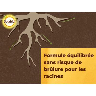 Engrais complet liquide - SOLABIOL - 2,5 L - Jusqu'a 250 L de solution - Universel - Tous types de cultures