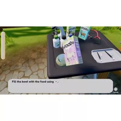 Sauvez les animaux sauvages avec Sofia's Animal Clinic Mission Wildlife Park - PS5