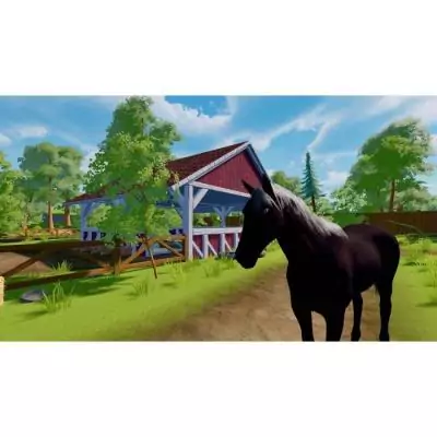 Sauvez les animaux sauvages avec Sofia's Animal Clinic Mission Wildlife Park - PS5