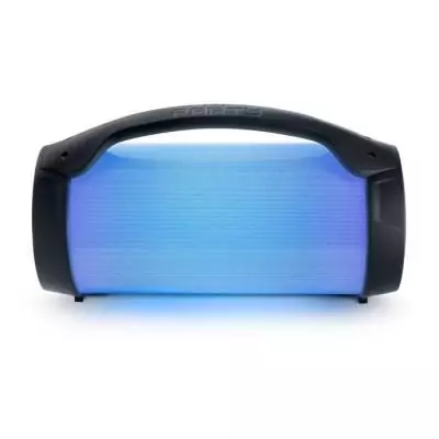 Enceinte sans fil BIGBEN PARTYBTPRO - Bluetooth - USB - Micro SD - AUX-IN - 38cm - 75W - Avec micro filaire Enceinte sans fil BIGBEN PARTYBTPRO - Bluetooth - USB - Micro SD - AUX-IN - 38cm - 75W - Avec micro filaire