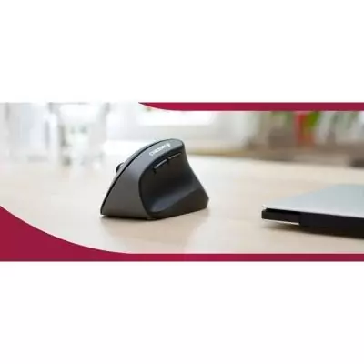 Souris ergonomique - CHERRY MW 4500 LEFT - Pour gauchers inclinée a 45° - Noir Souris ergonomique - CHERRY MW 4500 LEFT - Pour gauchers inclinée a 45° - Noir